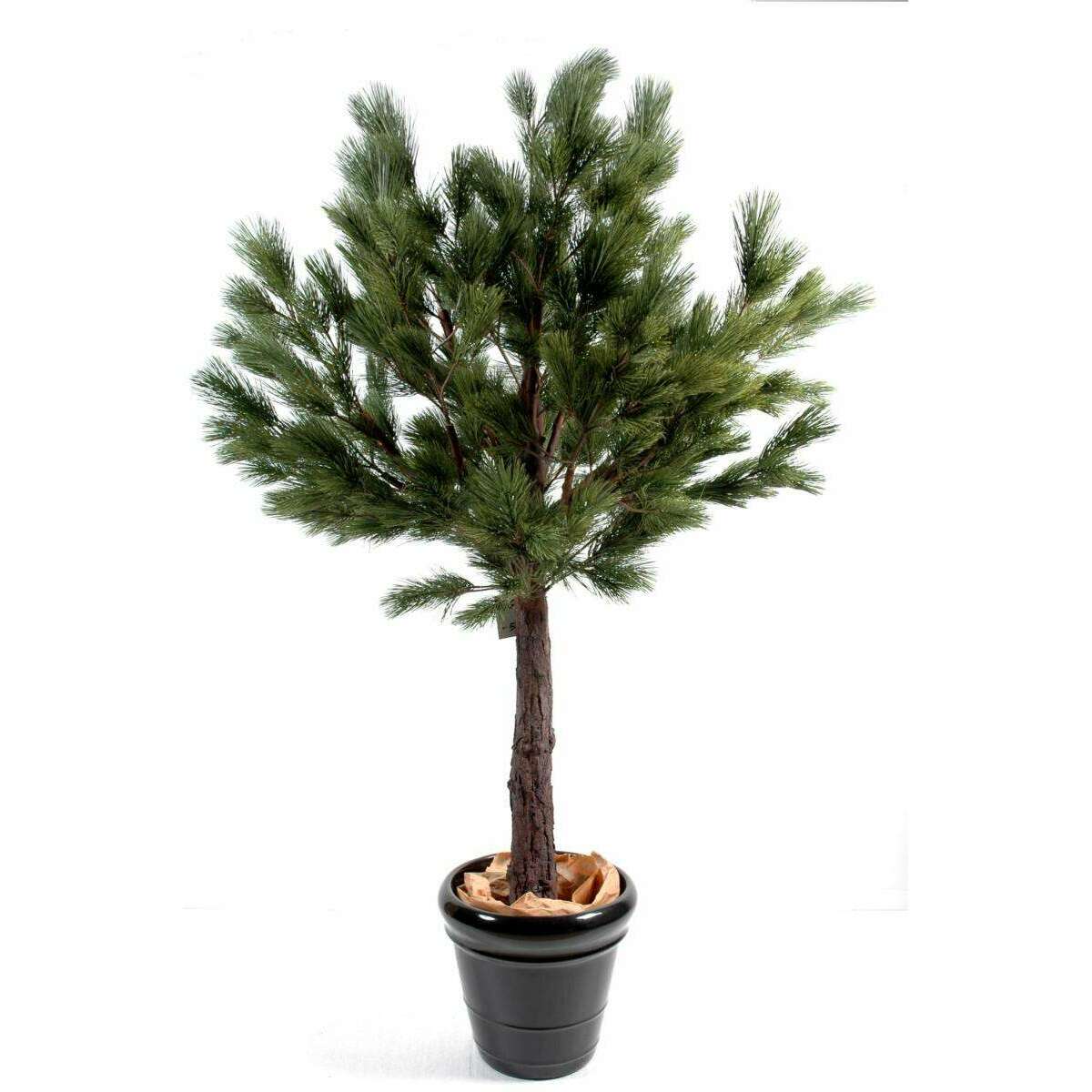 Arbre artificiel forestier Pin Autriche - arbre méditerranéen pour intérieur - H.170cm