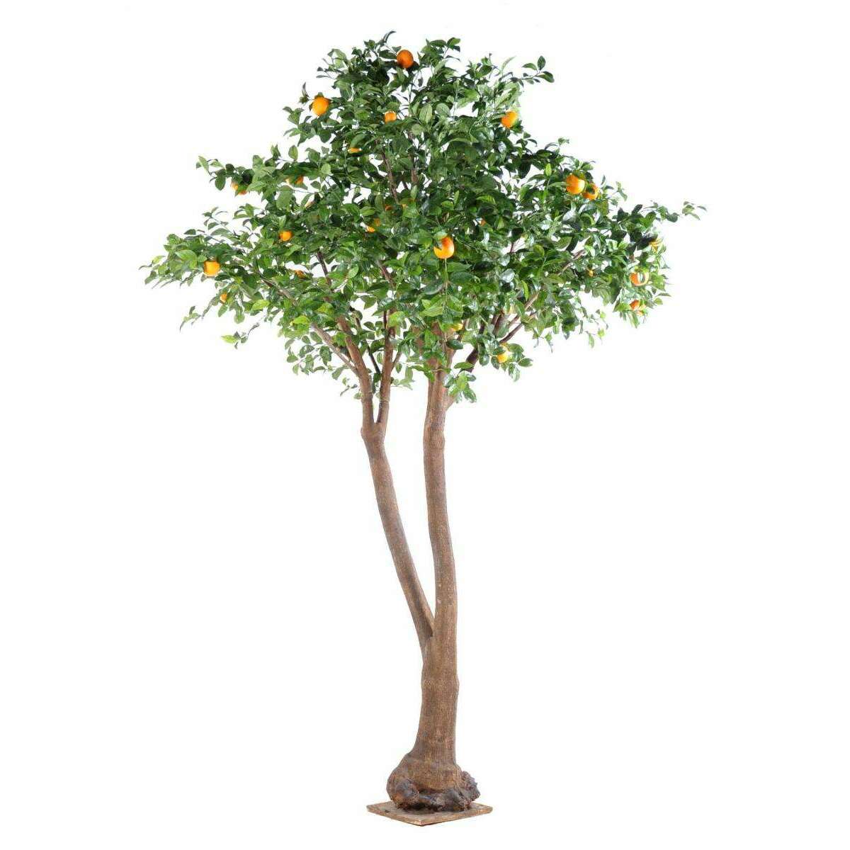 Arbre artificiel fruitier Oranger double - intérieur - H.340cm vert orange