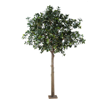 Arbre artificiel Fruitier sur platine - Camélia Japonica Tree - H.300cm vert