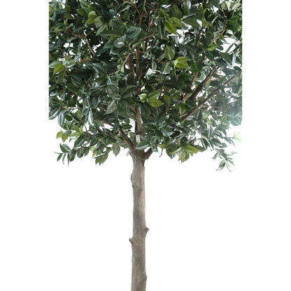 Arbre artificiel Fruitier sur platine - Camélia Japonica Tree - H.300cm vert