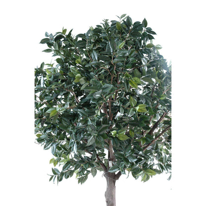 Arbre artificiel Fruitier sur platine - Camélia Japonica Tree - H.300cm vert