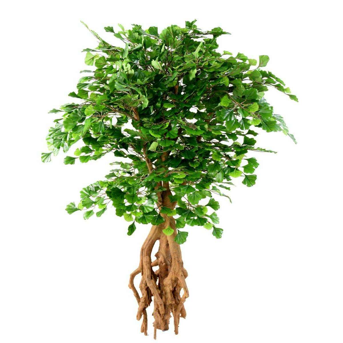 Arbre artificiel Ginkgo biloba root - plante synthétique d'intérieur - H.135cm