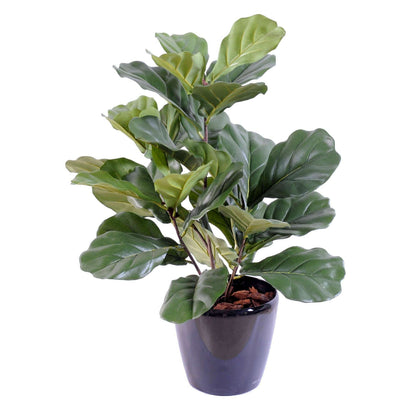 Arbre artificiel Lyrata buisson - ficus synthétique d'intérieur - H.60cm vert