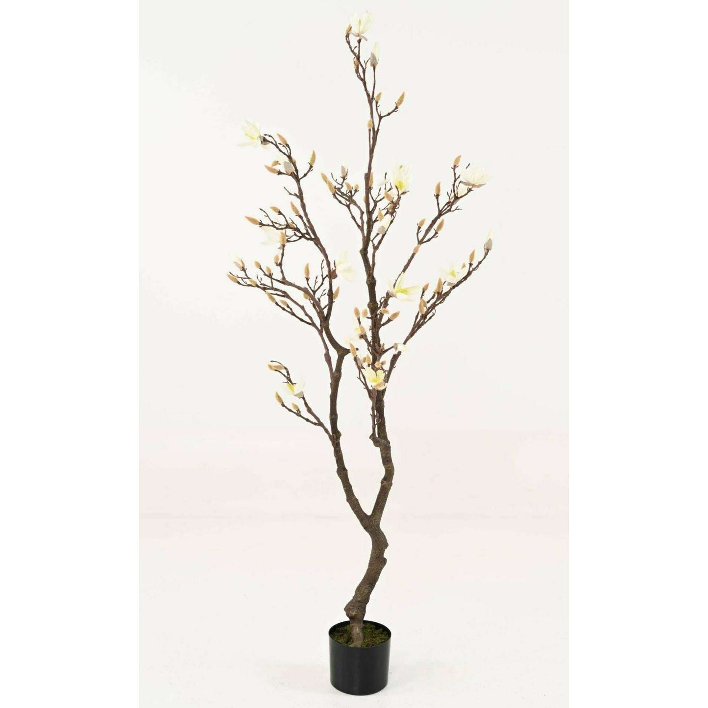 Arbre artificiel Magnolia Tulipier du Japon en floraison - plante d'intérieur - H.150cm blanc