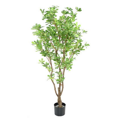 Arbre artificiel Pittosporum B - plante artificielle d'intérieur - H.150cm