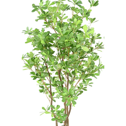 Arbre artificiel Pittosporum B - plante artificielle d'intérieur - H.150cm