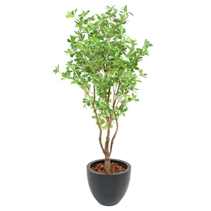 Arbre artificiel Pittosporum B - plante artificielle d'intérieur - H.150cm