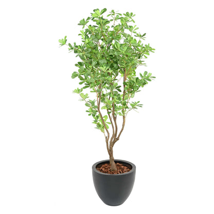 Arbre artificiel Pittosporum B - plante artificielle d'intérieur - H.150cm