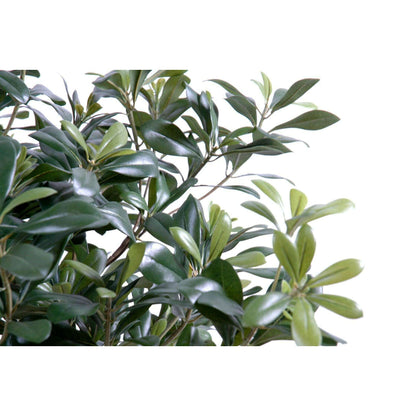 Arbre artificiel Pittosporum buisson - plante artificielle d'intérieur - H.80cm