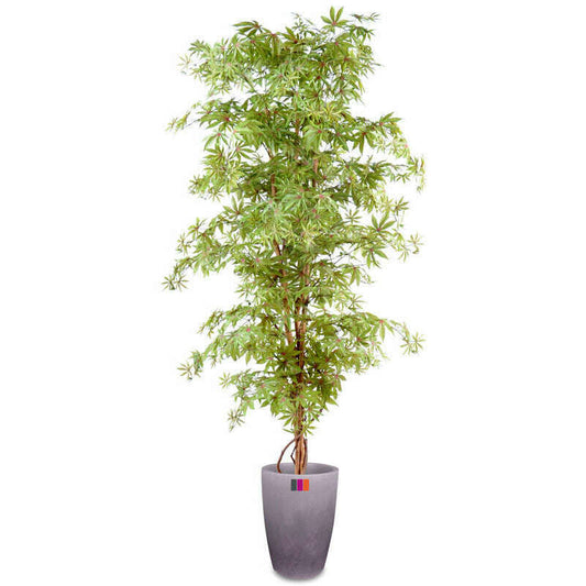 Arbre forestier artificiel Aralia new - plante d'intérieur - H.150cm vert/rouge