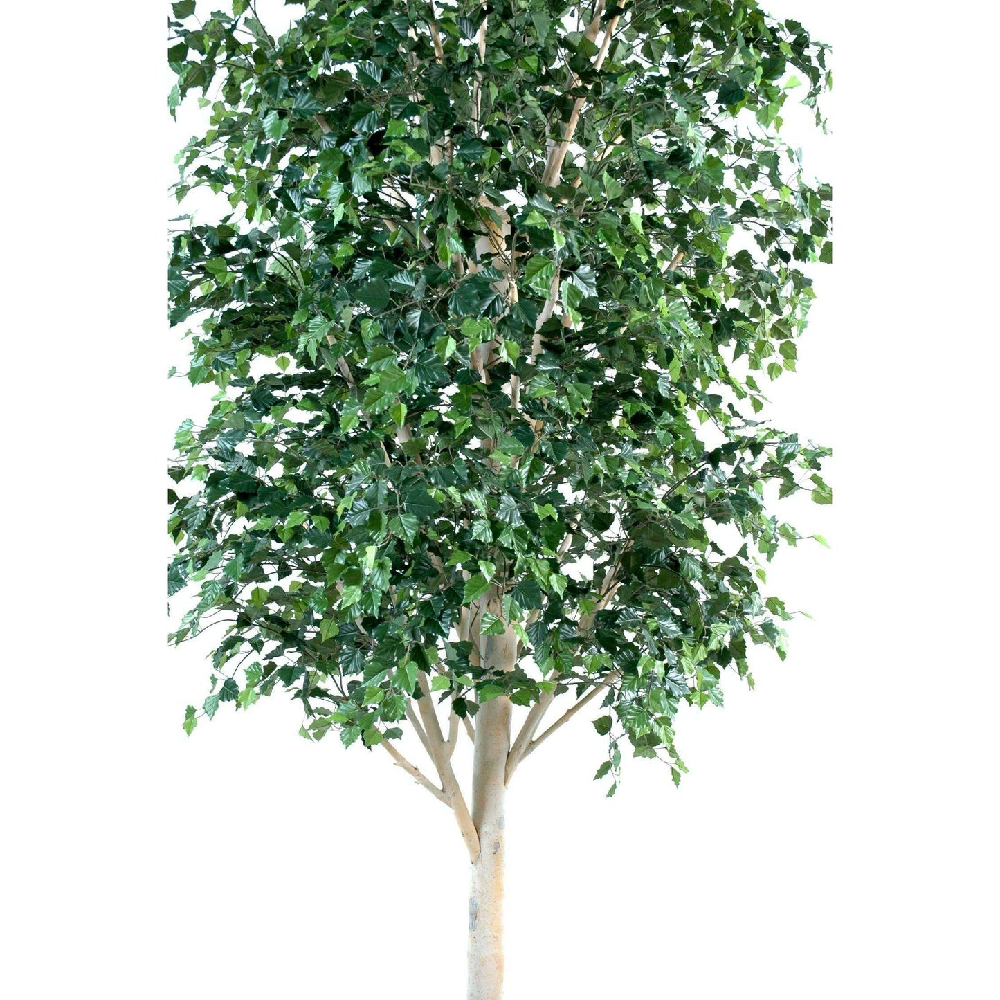 Arbre forestier Bouleau artificiel - décoration d'intérieur - H.350cm