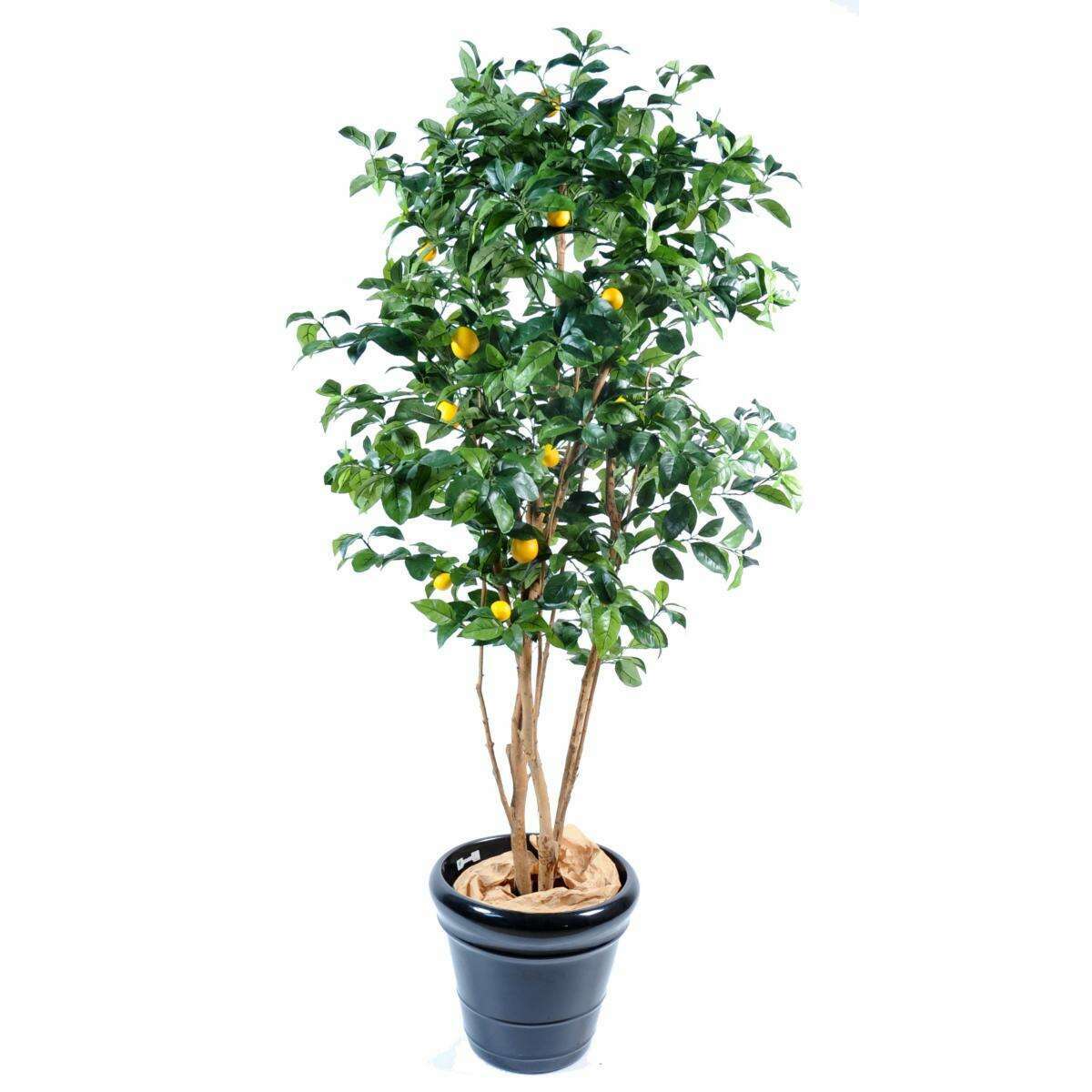 Arbre fruitier artificiel Citronnier et fruits - plante intérieur - H.180cm