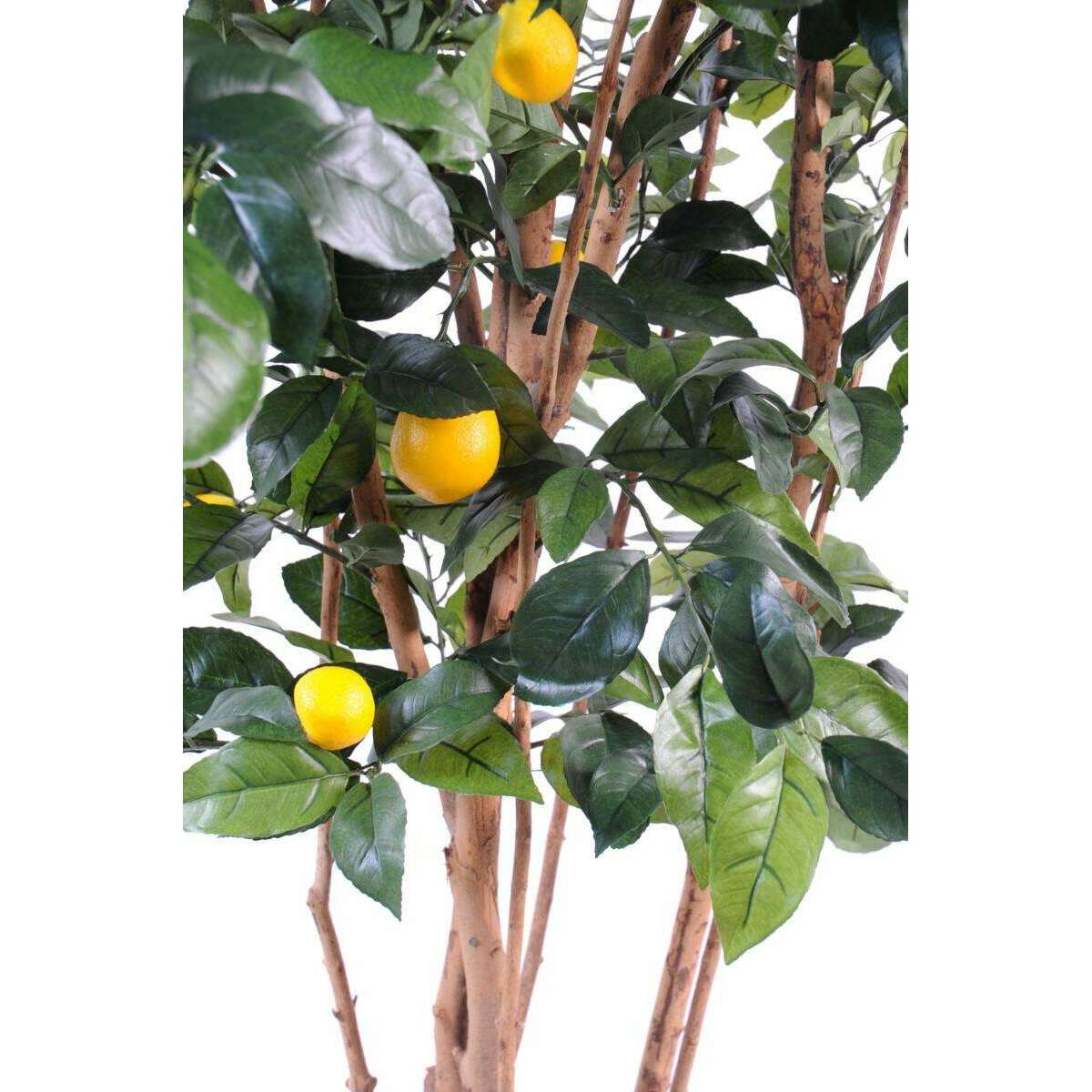 Arbre fruitier artificiel Citronnier et fruits - plante intérieur - H.180cm