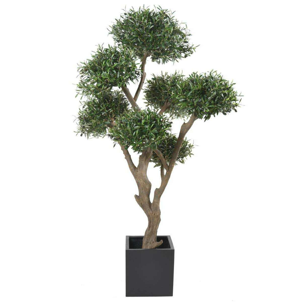 Arbre fruitier artificiel Olivier bonsaï nuage - plante pour intérieur - H.235cm