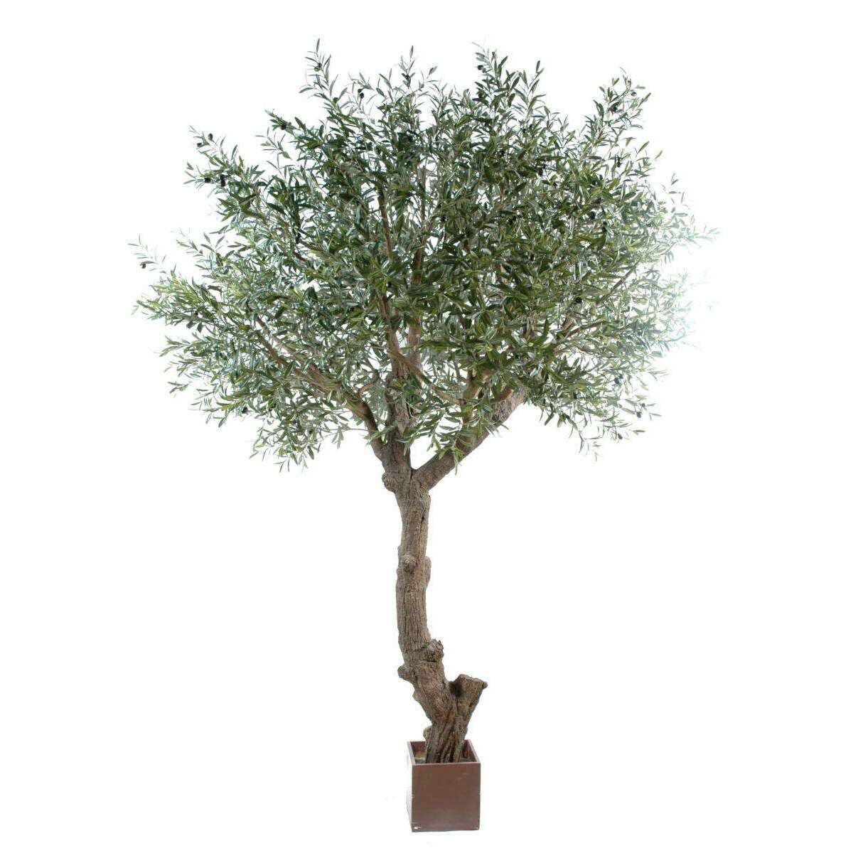 Arbre fruitier artificiel Olivier tête géant et olives - plante pour intérieur - H.270cm