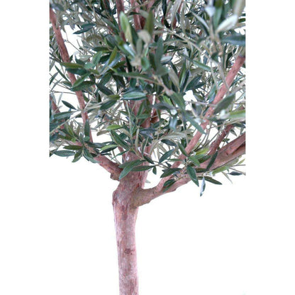 Arbre fruitier artificiel Olivier tête large et olives - plante pour intérieur - H.210cm