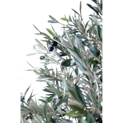 Arbre fruitier artificiel Olivier tête large et olives - plante pour intérieur - H.210cm