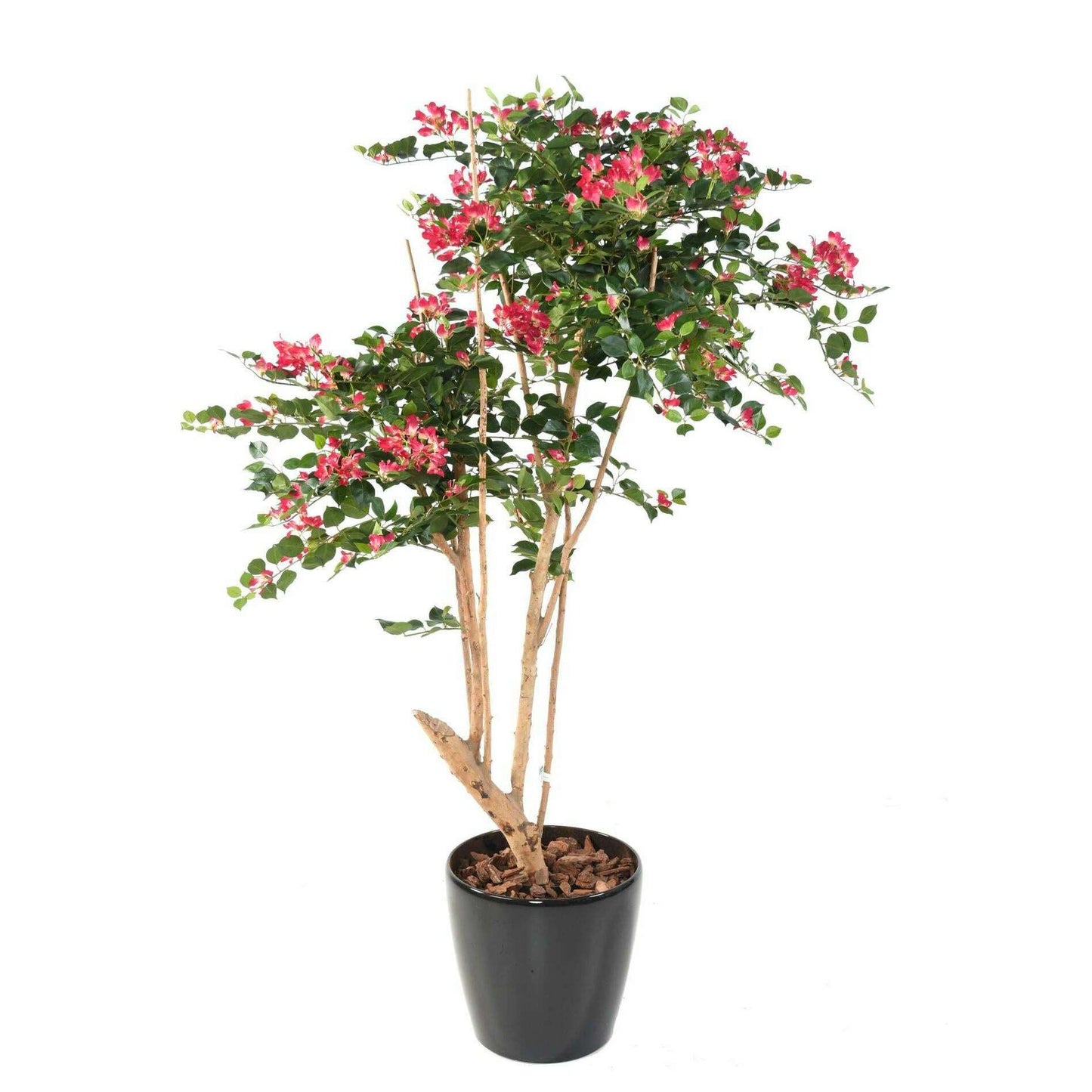 Arbre semi-naturel fleuri Bougainvillier Root - plante d'intérieur - H.160cm fuchsia