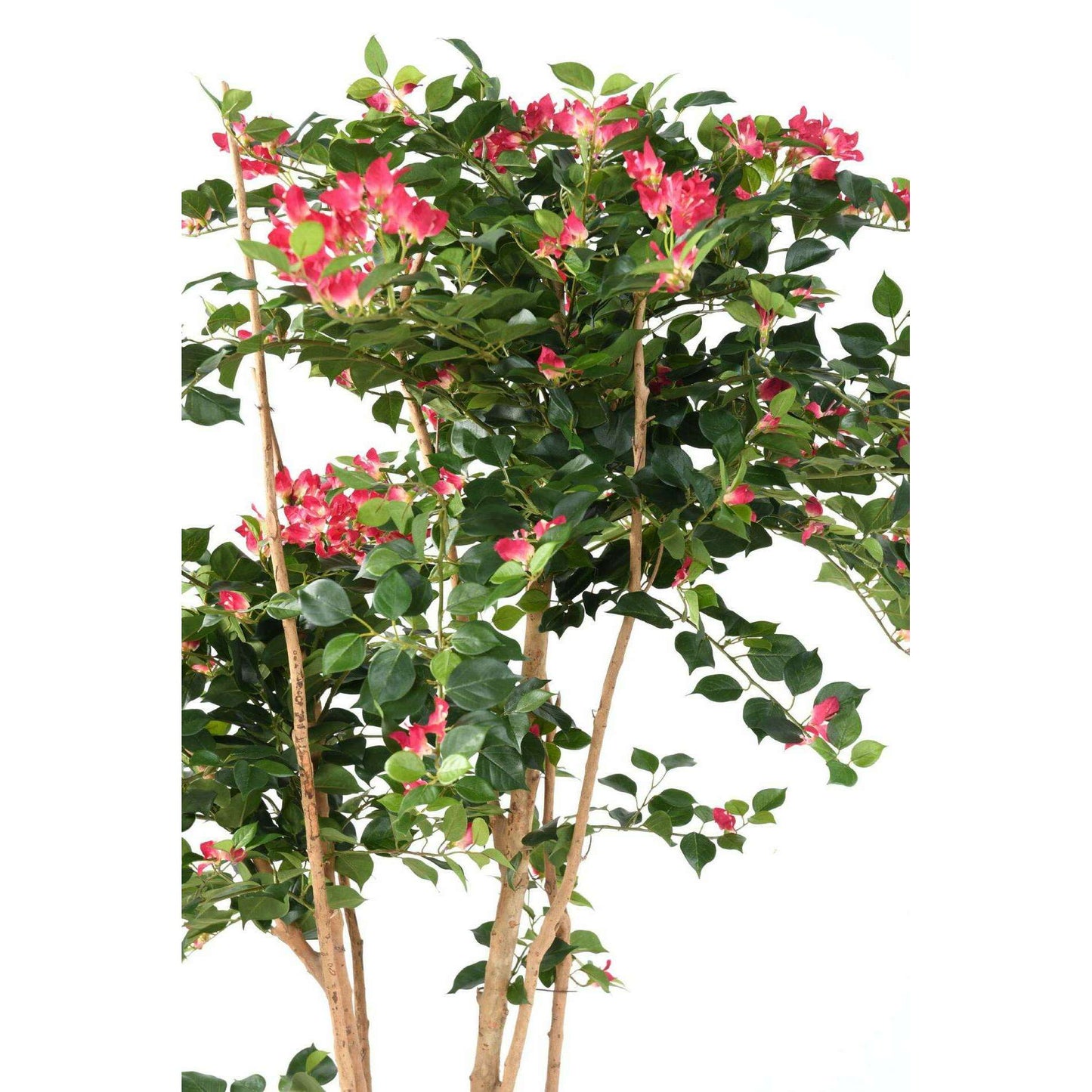 Arbre semi-naturel fleuri Bougainvillier Root - plante d'intérieur - H.160cm fuchsia