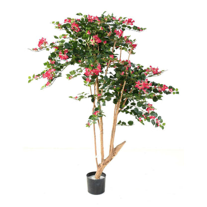 Arbre semi-naturel fleuri Bougainvillier Root - plante d'intérieur - H.160cm fuchsia