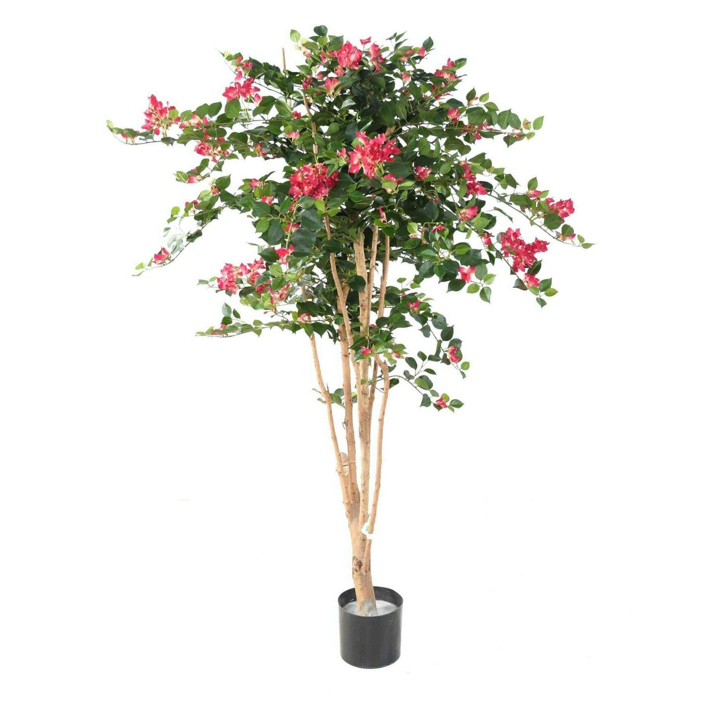 Arbre semi-naturel fleuri Bougainvillier Root - plante d'intérieur - H.160cm fuchsia