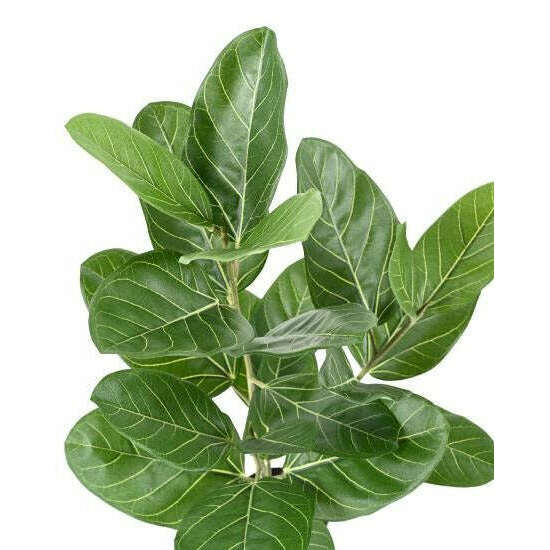 Arbuste artificiel Ficus Audrey - plante synthétique d'intérieur - H.62cm