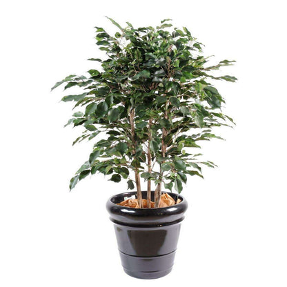 Arbuste artificiel Ficus Exotica buisson - plante d'intérieur - H.80cm vert