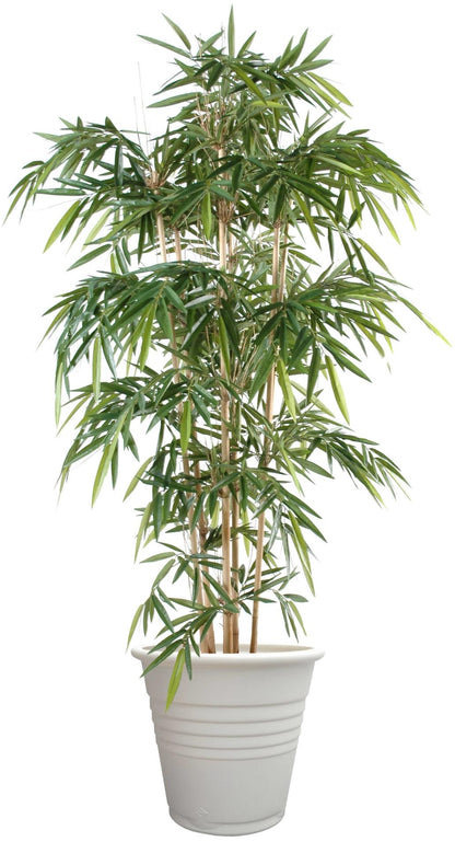 Bambou artificiel New UV résistant 6 cannes - extérieur balcon terrasse - H.150cm vert
