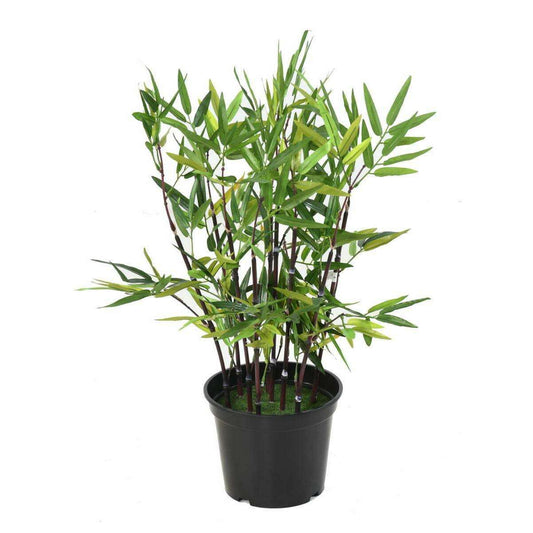 Bambou artificiel arbuste cannes noires - plante en pot d'intérieur - H.60cm vert