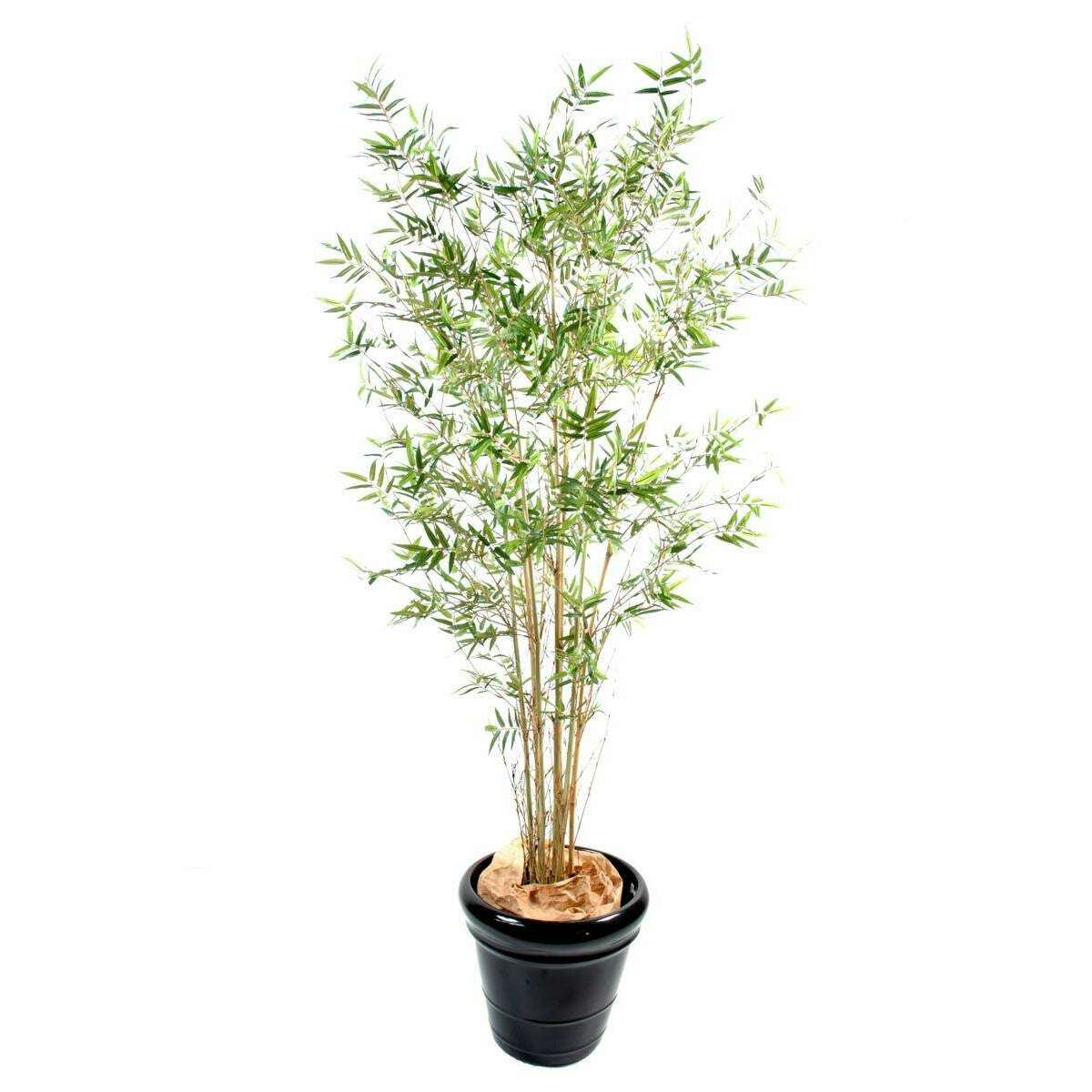 Bambou artificiel Oriental new - plante d'intérieur - H.220 cm