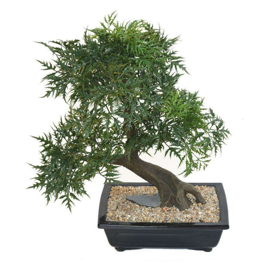 Bonsaï Aralia arbre miniature en coupe - plante synthétique intérieur - H.50cm