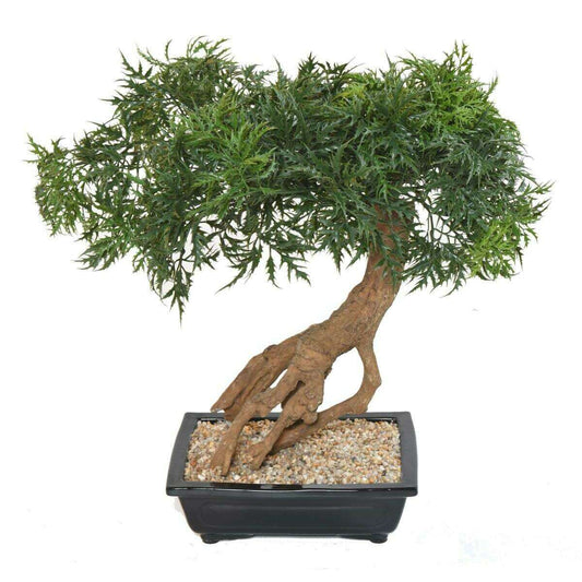 Bonsaï Aralia arbre miniature en coupe - plante synthétique intérieur - H.60cm