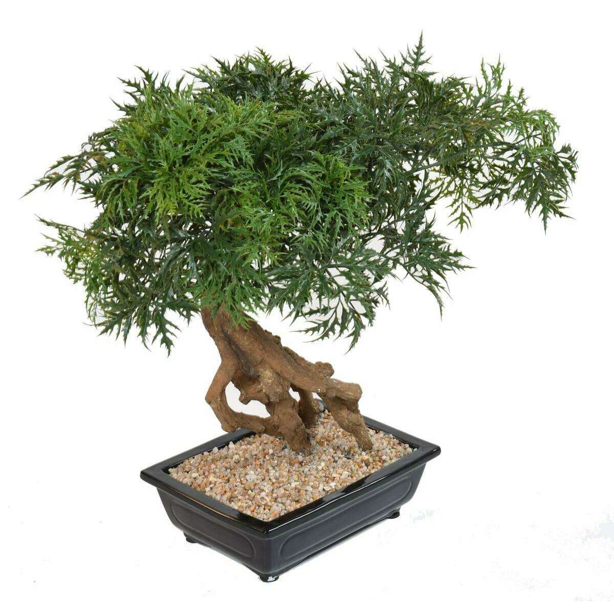 Bonsaï Aralia arbre miniature en coupe - plante synthétique intérieur - H.60cm