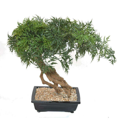 Bonsaï Aralia arbre miniature en coupe - plante synthétique intérieur - H.60cm