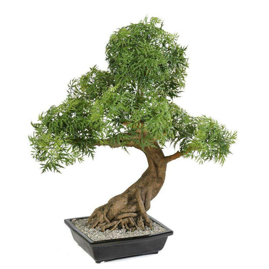 Bonsaï Aralia arbre miniature en coupe - plante synthétique intérieur - H.95cm