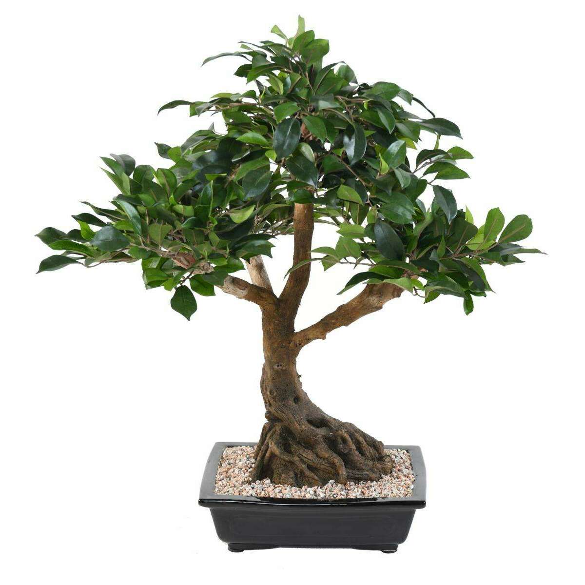 Bonsaï artificiel arbre miniature Ficus en coupe - plante d'intérieur - H.58cm