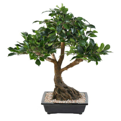 Bonsaï artificiel arbre miniature Ficus en coupe - plante d'intérieur - H.58cm