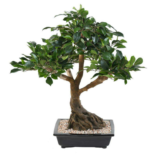 Bonsaï artificiel arbre miniature Ficus en coupe - plante d'intérieur - H.58cm