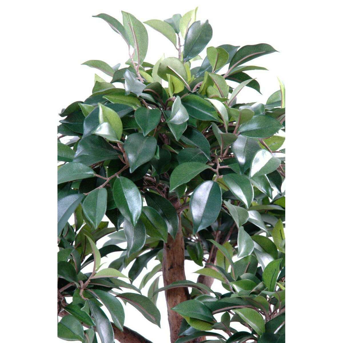 Bonsaï artificiel arbre miniature Ficus en coupe - plante d'intérieur - H.58cm