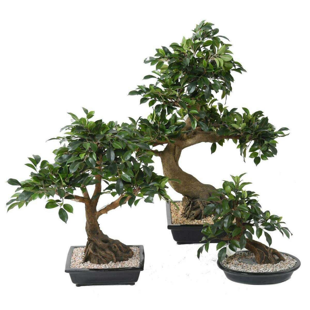 Bonsaï artificiel arbre miniature Ficus en coupe - plante d'intérieur - H.58cm