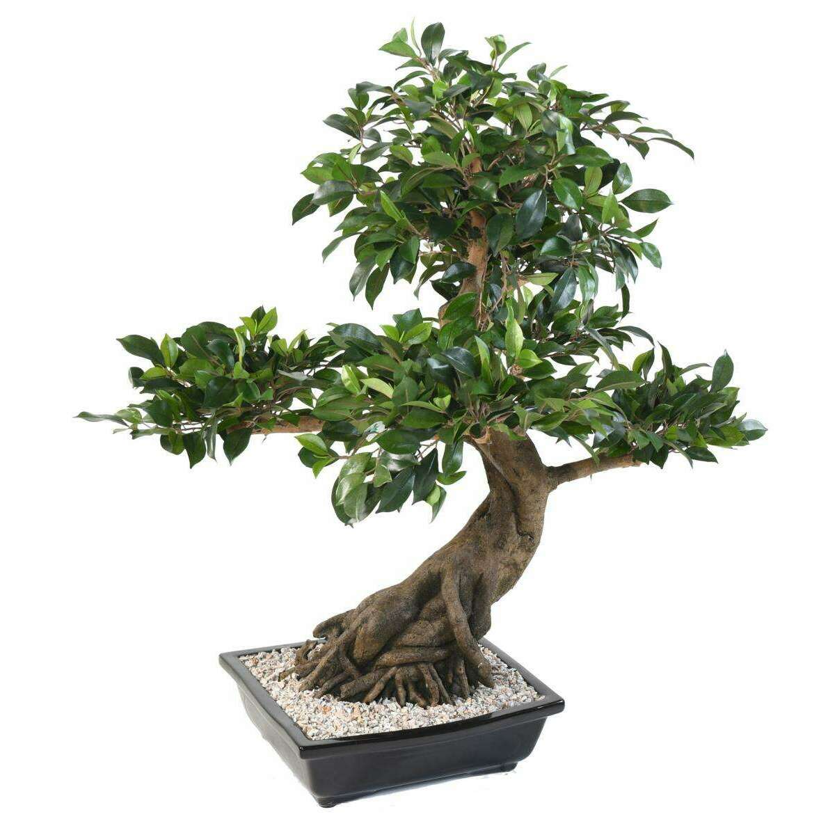 Bonsaï artificiel arbre miniature Ficus en coupe - plante d'intérieur - H.78 cm