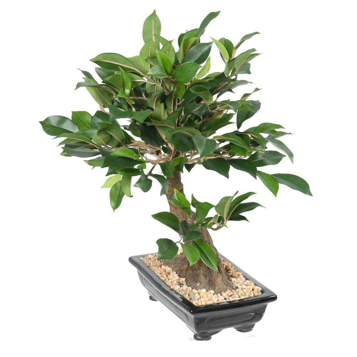 Bonsaï artificiel arbre miniature Ficus en coupe - plante intérieur - H.38cm