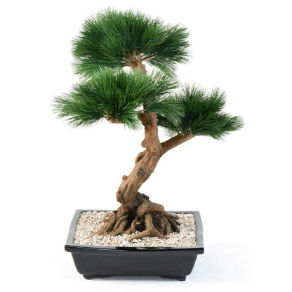 Bonsaï artificiel arbre miniature Pin en coupe - plante d'intérieur - H.70cm