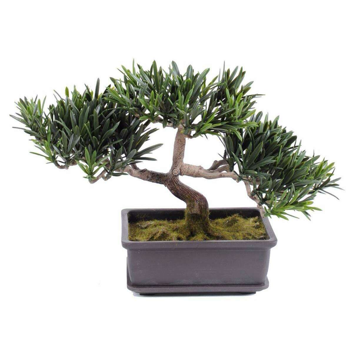 Bonsaï Podocarpus artificiel en coupe - plante intérieur extérieur - H.22cm