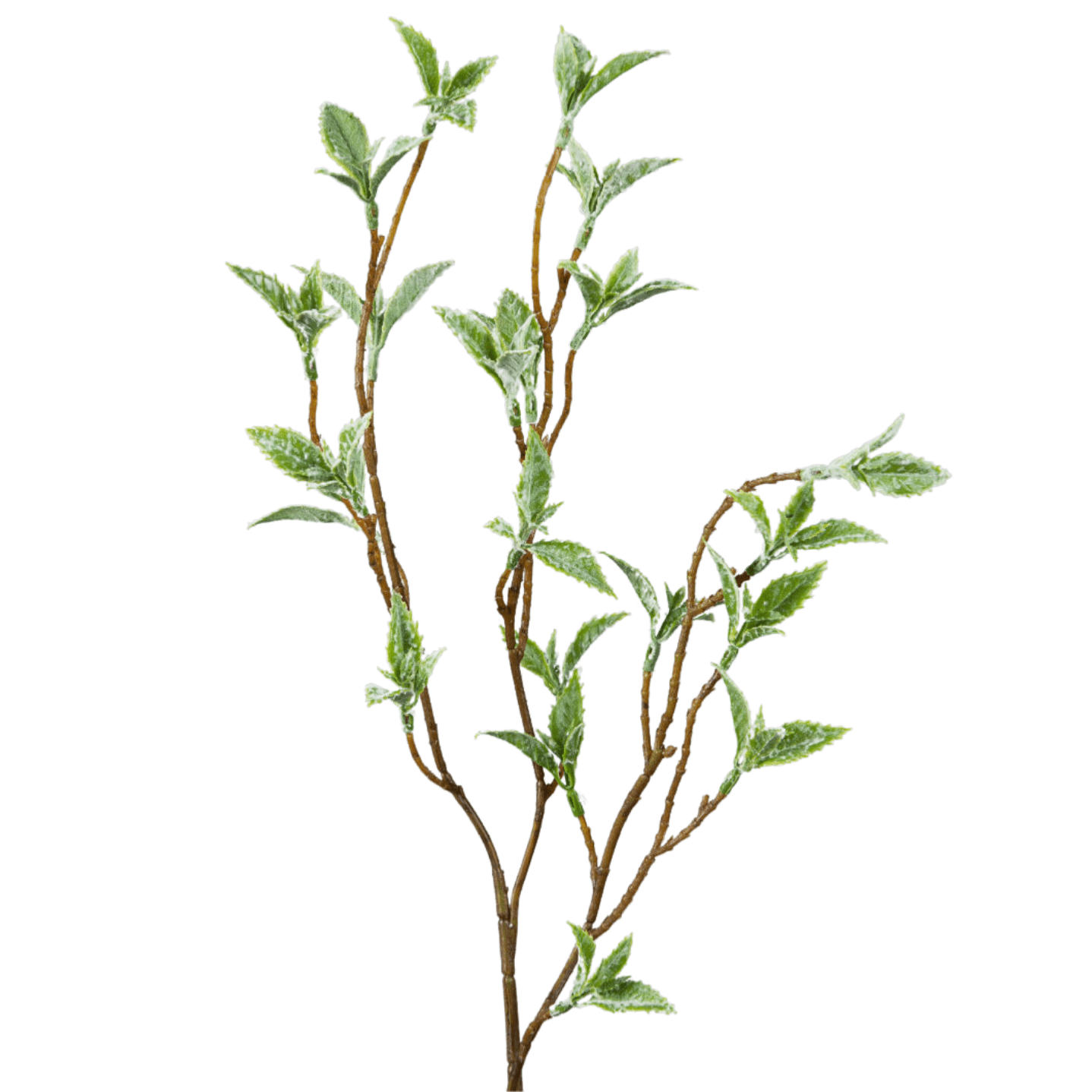 Branche artificielle de Betula - décoration d'intérieur - H.65cm vert