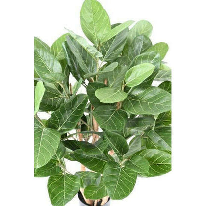 Buisson artificiel Ficus Audrey - plante synthétique d'intérieur - H.100cm