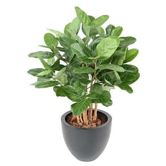 Buisson artificiel Ficus Audrey - plante synthétique d'intérieur - H.100cm