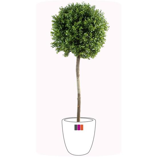 Plante artificielle convient en extérieur Buis tige boule - H.170cm vert