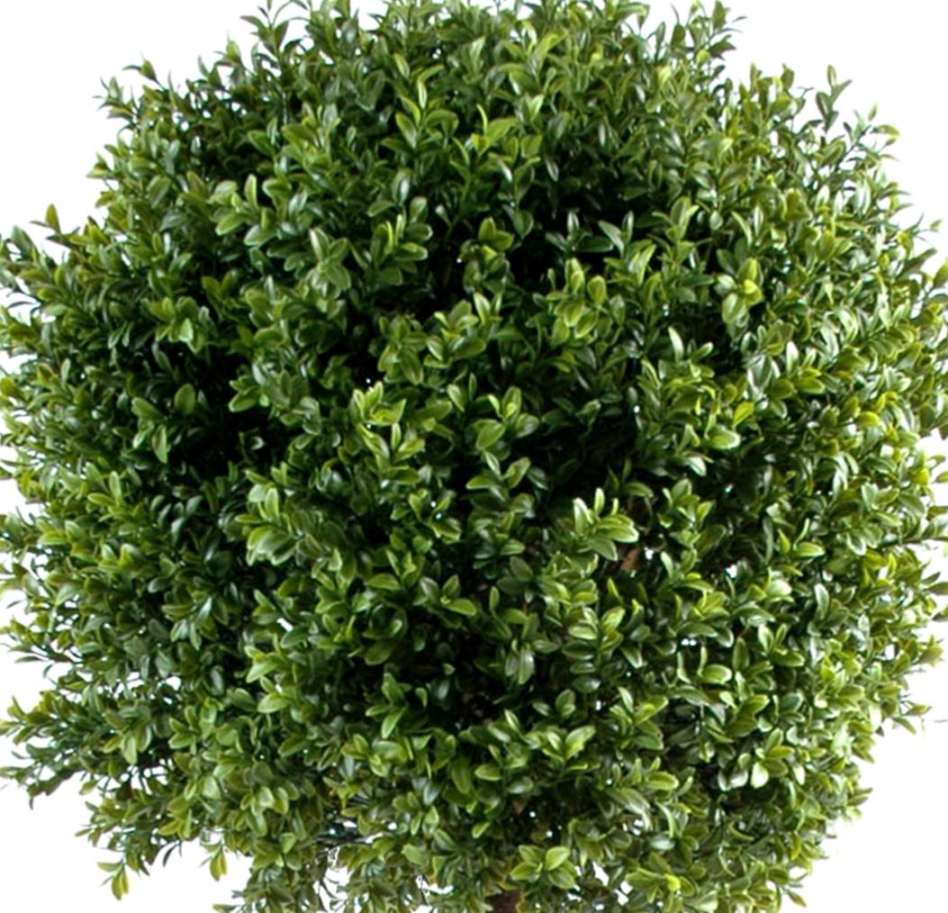 Plante artificielle convient en extérieur Buis tige boule - H.110cm vert