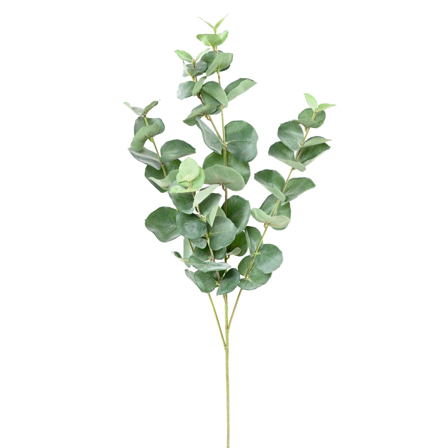 Eucalyptus artificiel gunnii spray - création de bouquet - H.70cm vert